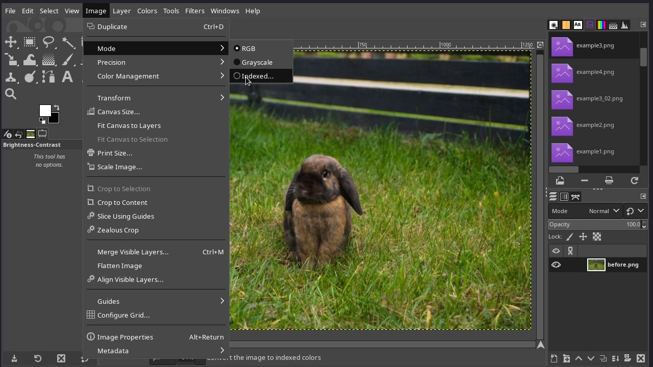 GIMP main window with a picture of a bunny and Image menu opened.